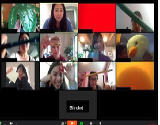 Online Participatory Design